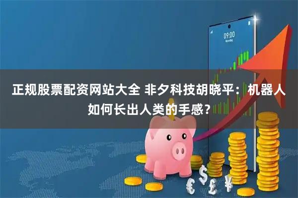 正规股票配资网站大全 非夕科技胡晓平：机器人如何长出人类的手感？