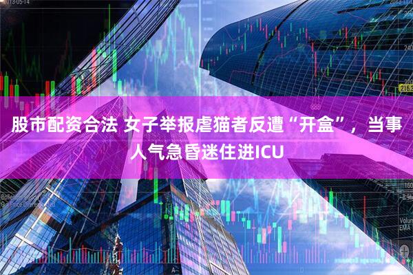股市配资合法 女子举报虐猫者反遭“开盒”，当事人气急昏迷住进ICU